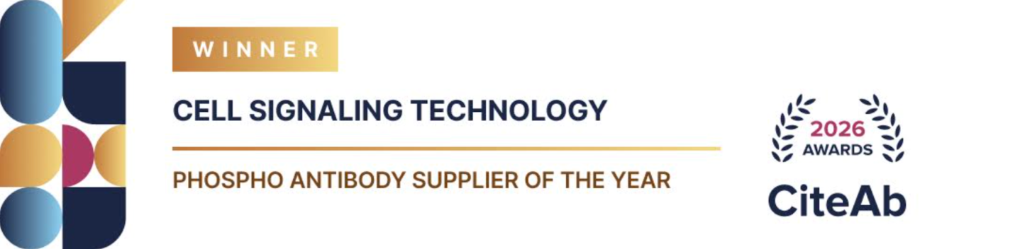 CST Named 2026 Phospho Antibody Supplier of the Year by CiteAb