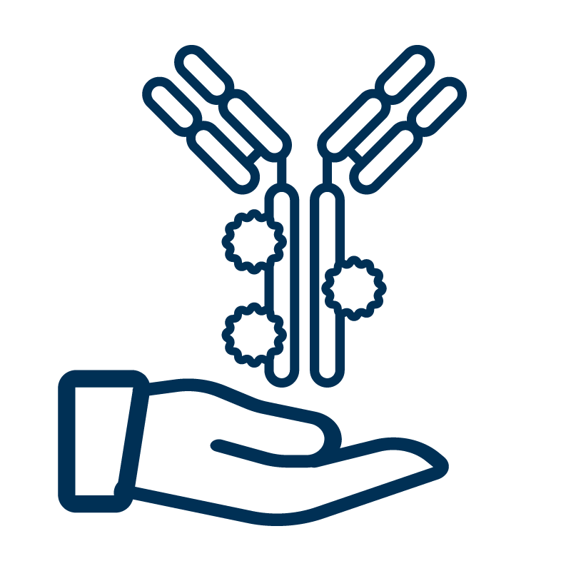 Line-art icon of a hand held out underneath an antibody with multiple conjugation sites, symbolizing custom labeling and conjugation services