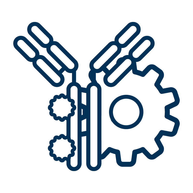 Line-art icon of an antibody with multiple conjugation sites and a gear, symbolizing on-demand SignalFlex™ Antibody Conjugates